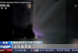 美国xxx视频,内容深度解析与背后故事