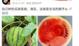 娱乐圈吃瓜的瓜,揭秘明星背后的故事与争议