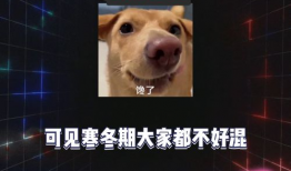 吃瓜八卦娱乐圈文案,揭秘明星幕后故事，吃瓜群众必看！