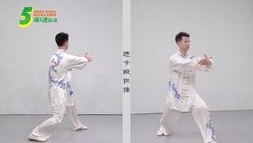太极一章教学视频,入门基础动作解析与技巧讲解