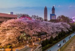 吃瓜爆料抖音网红入口